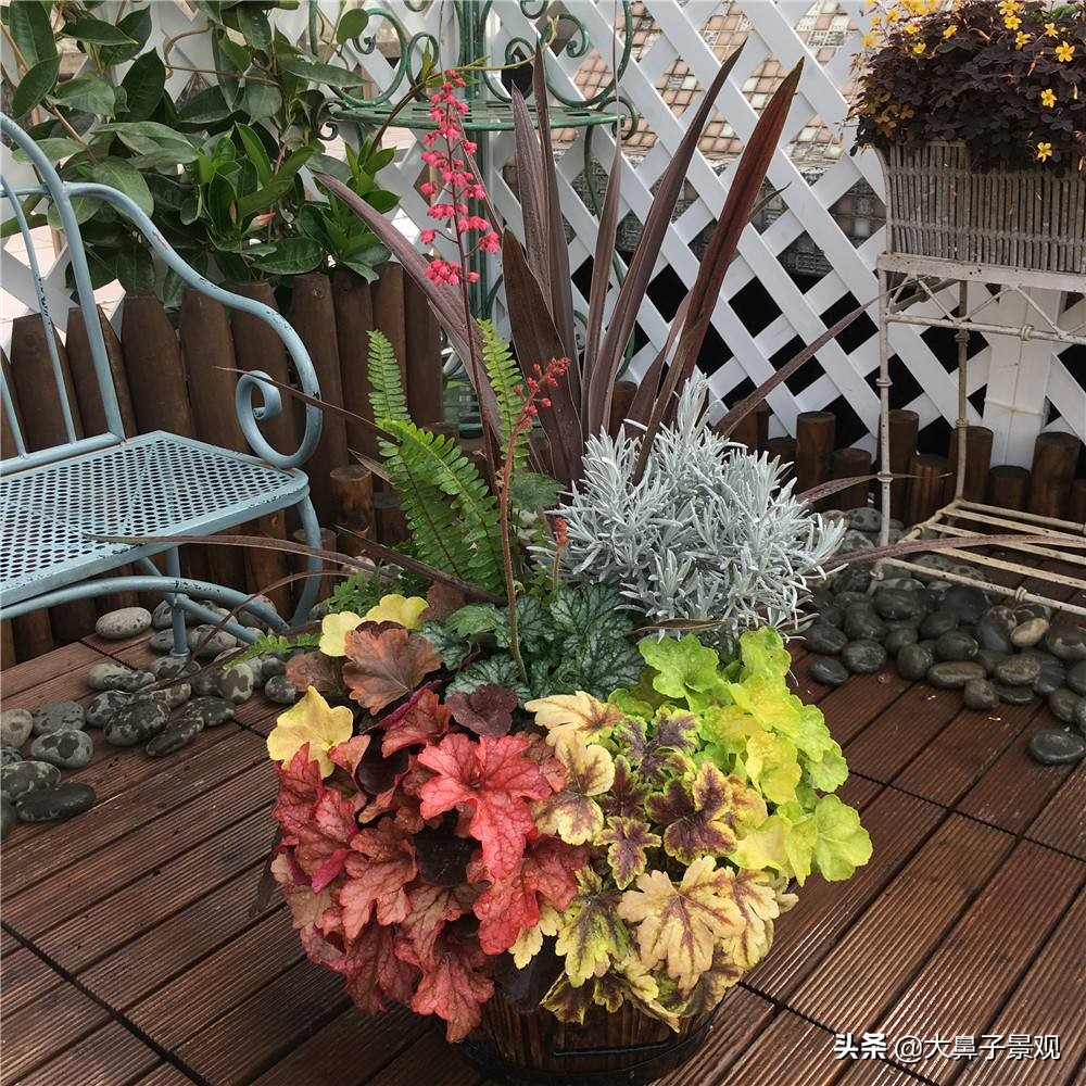 日式庭院植物选择和配置方法,庭院景观植物配置效果图