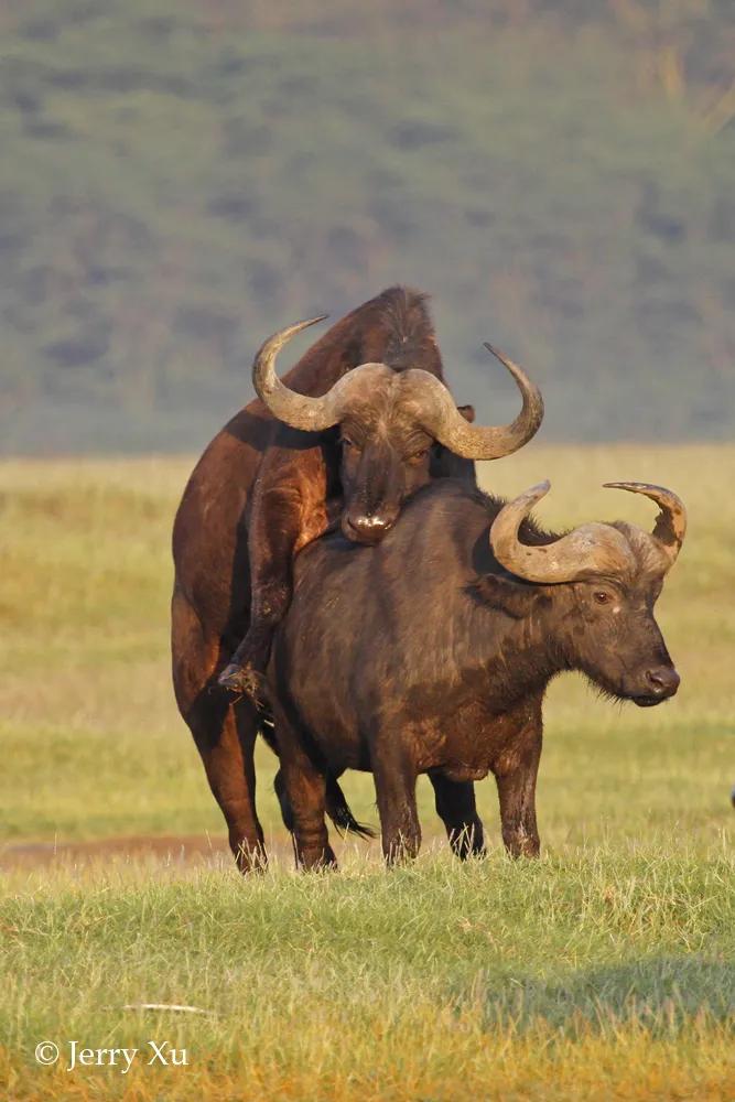 情人节,就该和爱的人*爱做**做的事