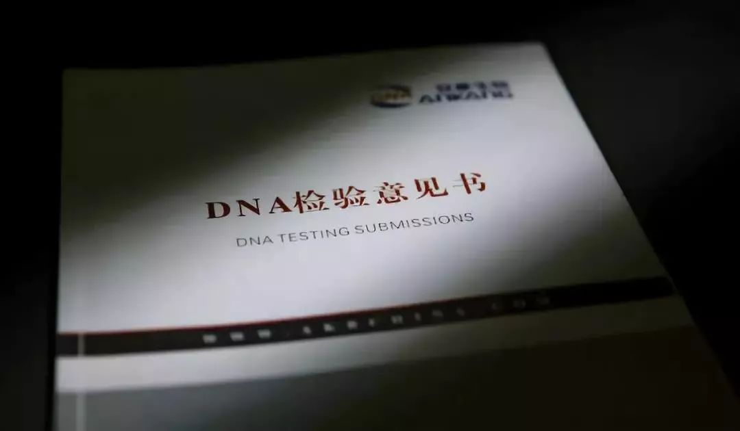 亲子鉴定师遇到的真实事件,亲子鉴定师真实性