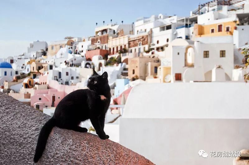 签证涨价,申根签证面签攻略最新