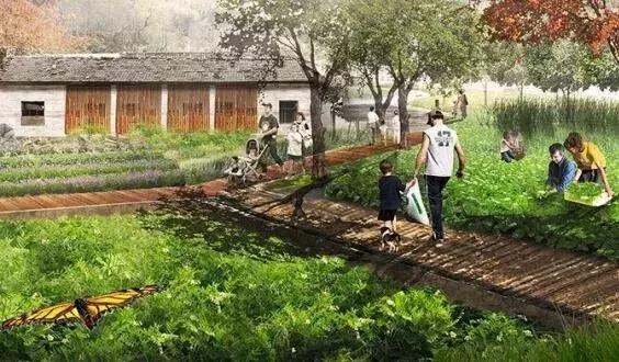 江苏最美乡村民宿,特色民宿乡村旅游