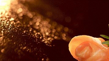 日料各个季节的食材,日料的风味特点