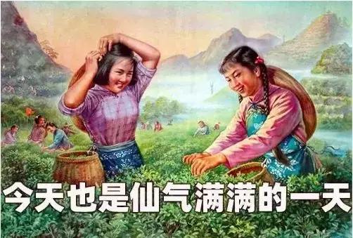 青白江孕妇照,青白江孕妈妈照