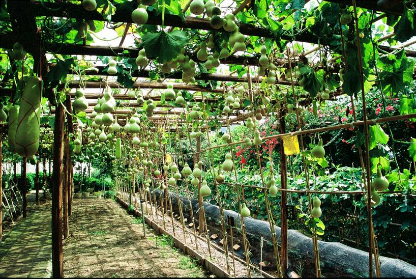 深圳青青世界有什么好玩,深圳青青世界亲子套票