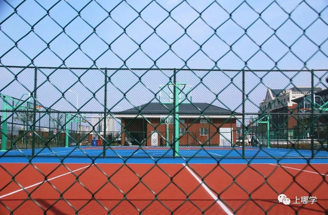 上海最好的十大民办初中,上海各区的顶级初中和一流初中