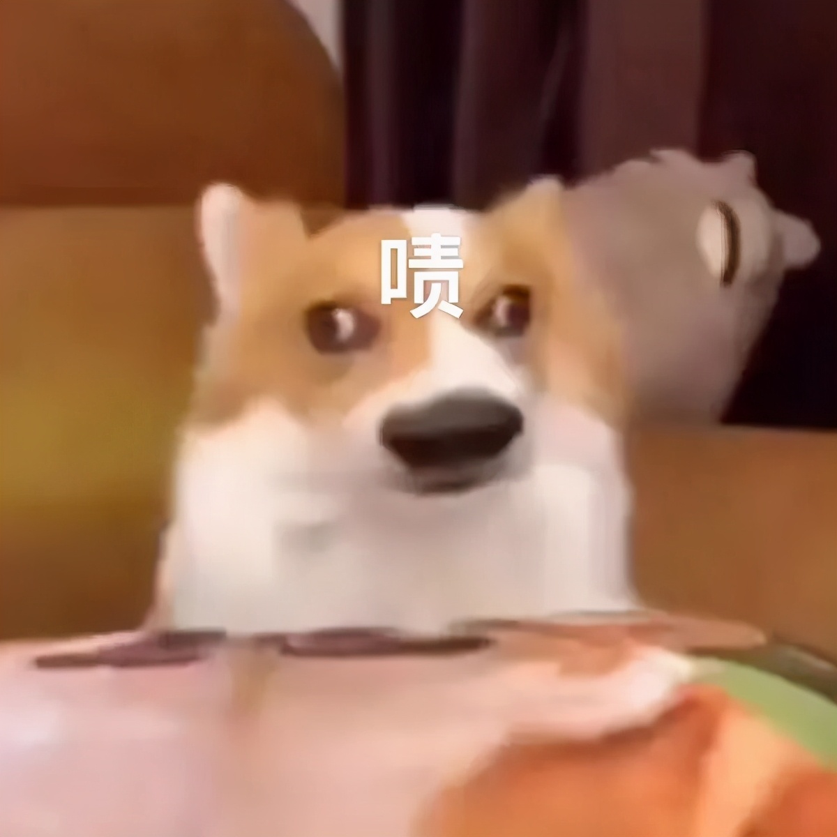 为什么大家只喜欢姐姐不喜欢我,为什么只喜欢姐姐不喜欢妹妹