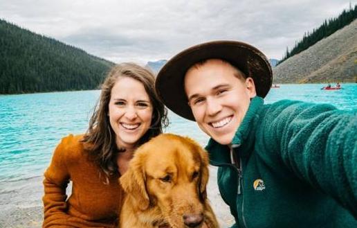 金毛犬如果不听话了怎么办,金毛犬怎么养才是正确的