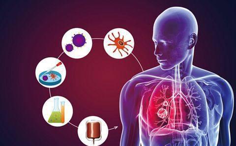 你了解自己的身体吗,你了解身体的免疫系统吗