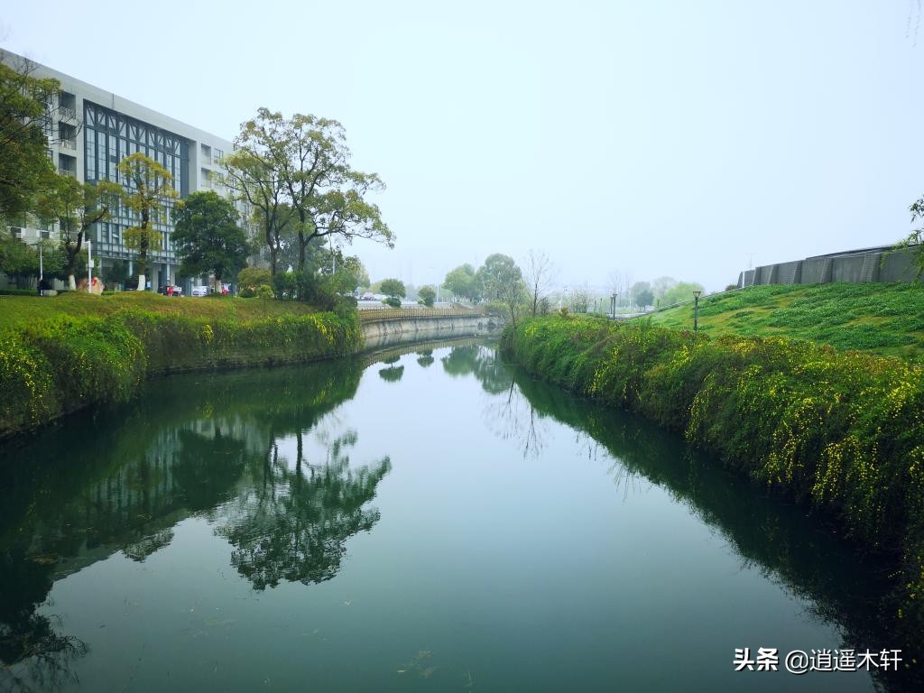 中南大学的性价比怎么样,中南大学算不算顶尖学府