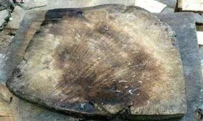 防霉德国菜板,德国菜板家用抗菌防霉