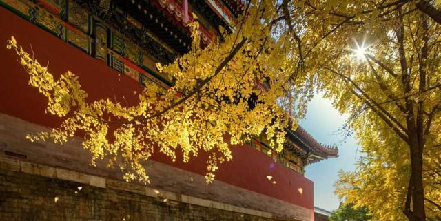 于武陵很经典的一首诗,短短4句气节清高,揭示了深刻人生哲理