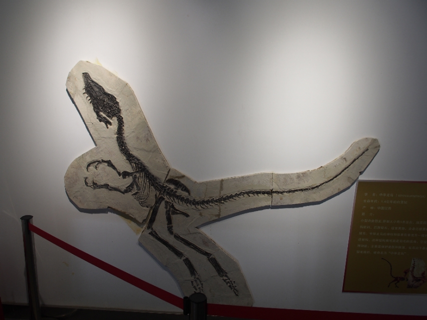 辽宁省兴城市菊花岛,辽宁兴城觉华岛