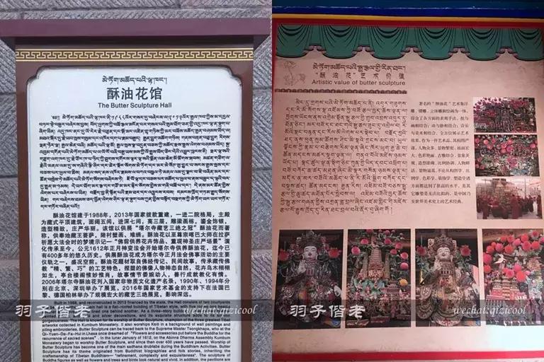 打卡青海湖自驾游,打卡全国酒店