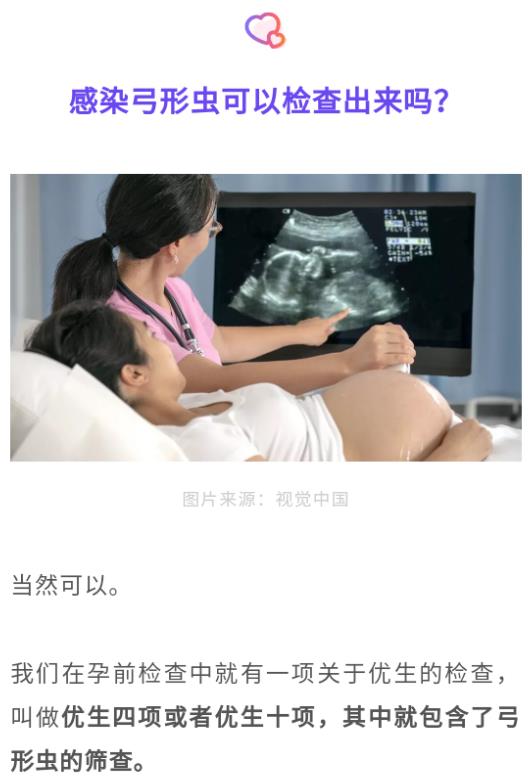 怀孕养宠物，能养，猫狗没有“弓形虫”没问题