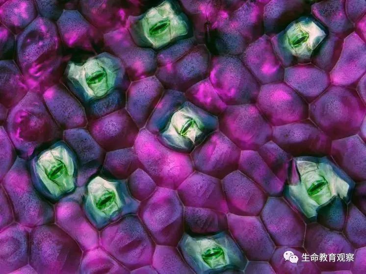 看完后，整个人都有点不对劲了（传播生物知识）