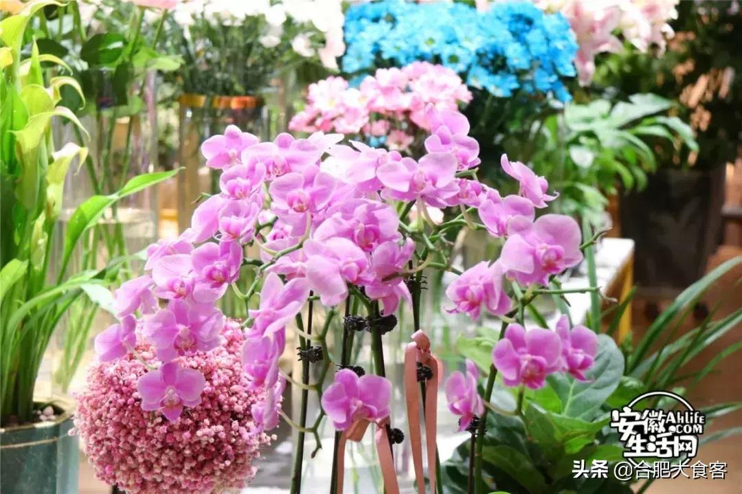 合肥大超市购物省钱攻略,合肥最值得逛的超市