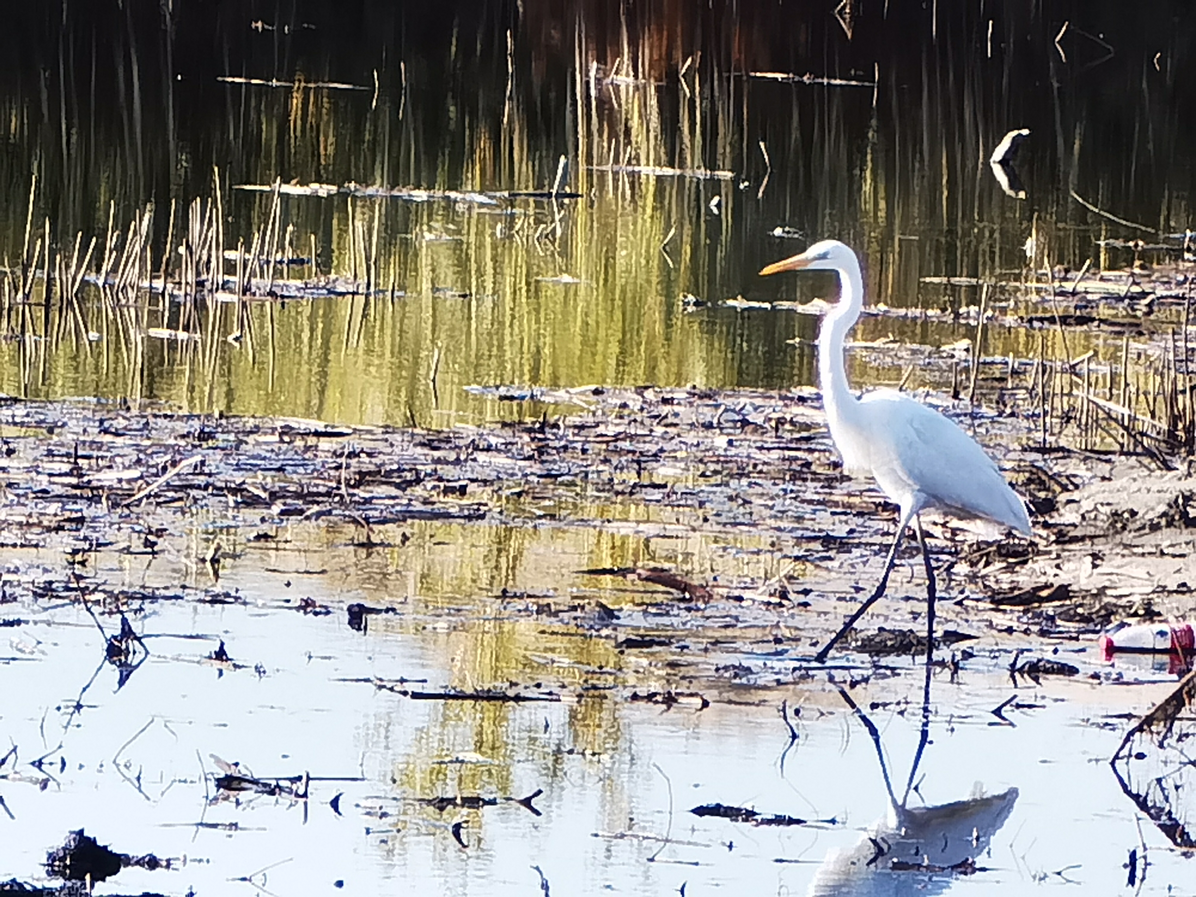 自驾游*疆新**：原来你是这样的白沙湖