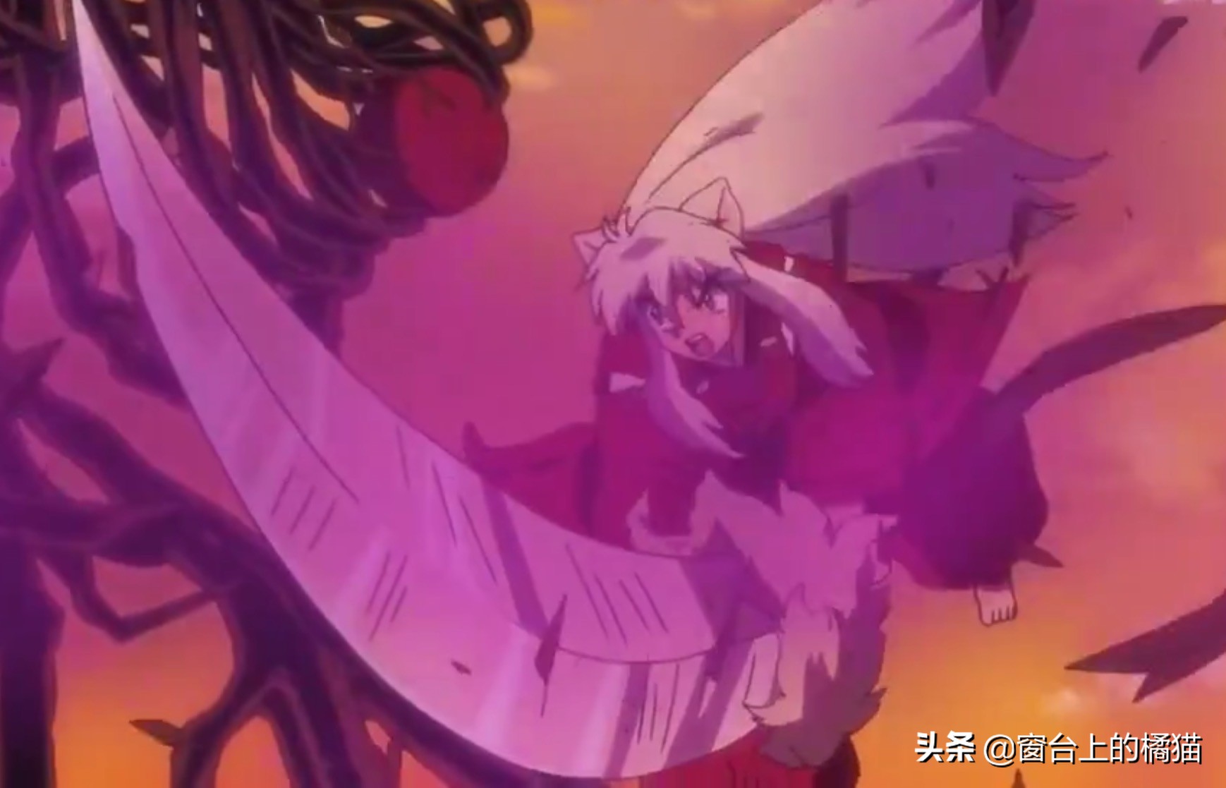 犬夜叉第二部半妖的夜叉姬15,犬夜叉第二部夜叉姬大结局21