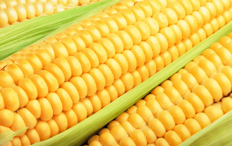 玉米这样做真好吃香甜软糯,不带皮玉米怎么煮又糯又香又甜