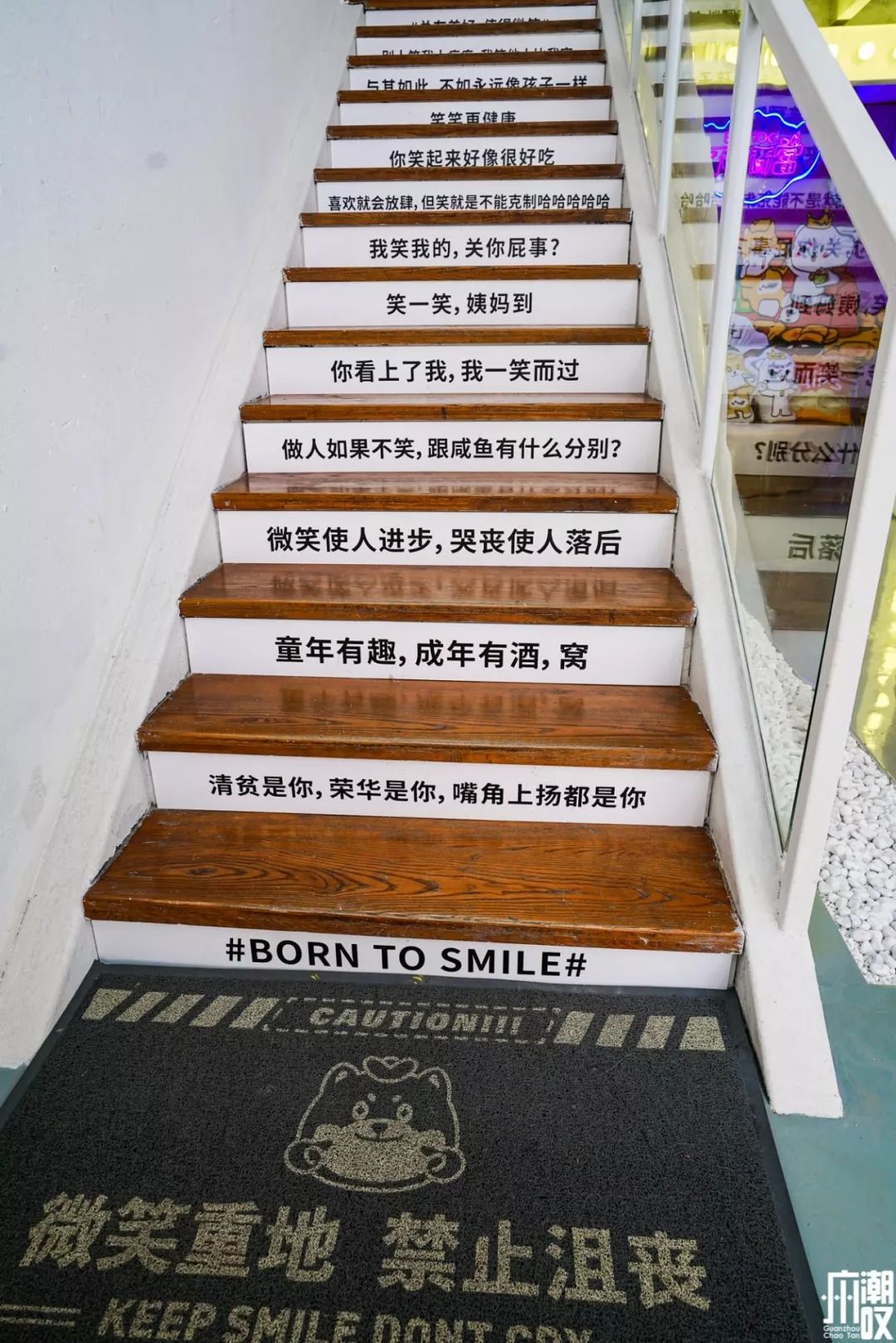 新潮展览+撸狗，广州这家新开的汪星人主题店萌爆了