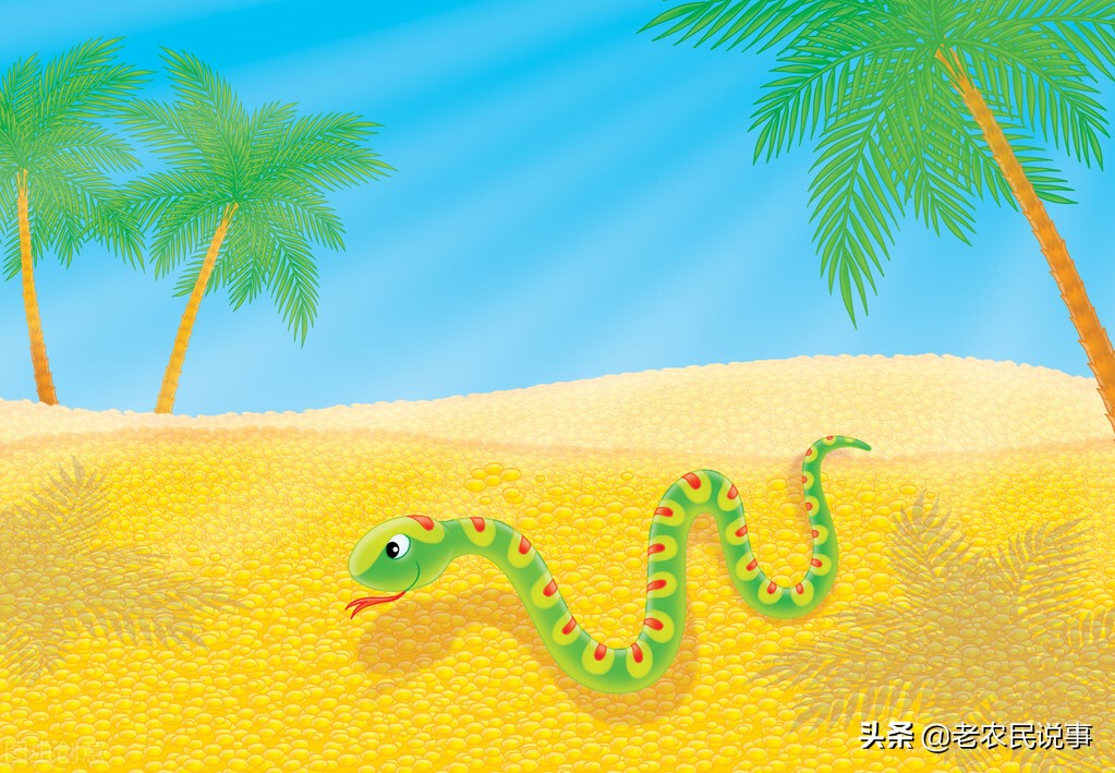 农村房屋有蛇出没,好事还是坏事?用什么方法能避免蛇出现?