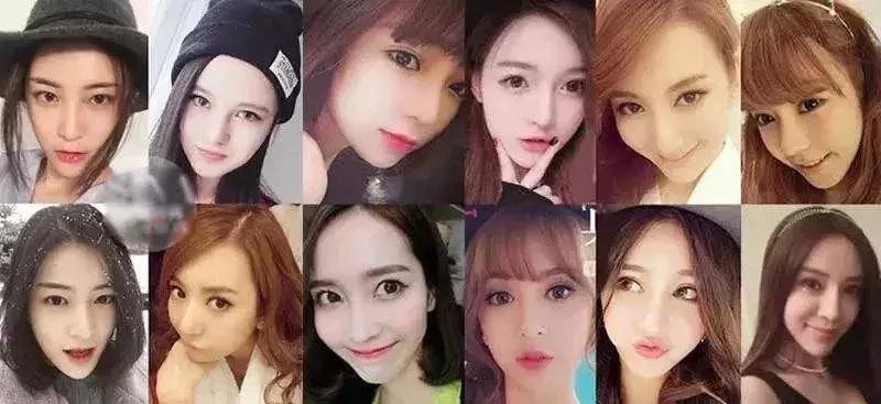 仓鼠怎么分辨一线和三线,三线仓鼠大战一线仓鼠