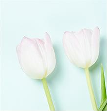 最流行的花艺趋势,目前流行的花艺流派