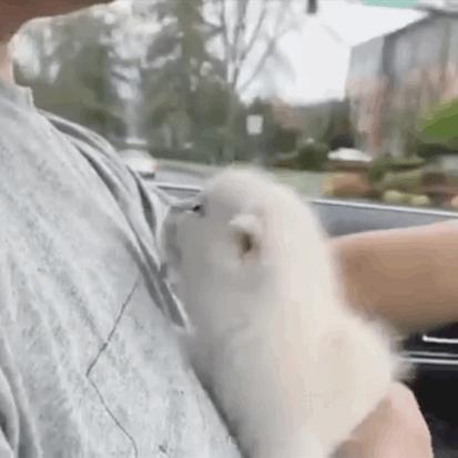 什么动作可以让男生心动,什么肢体动作让女生心动