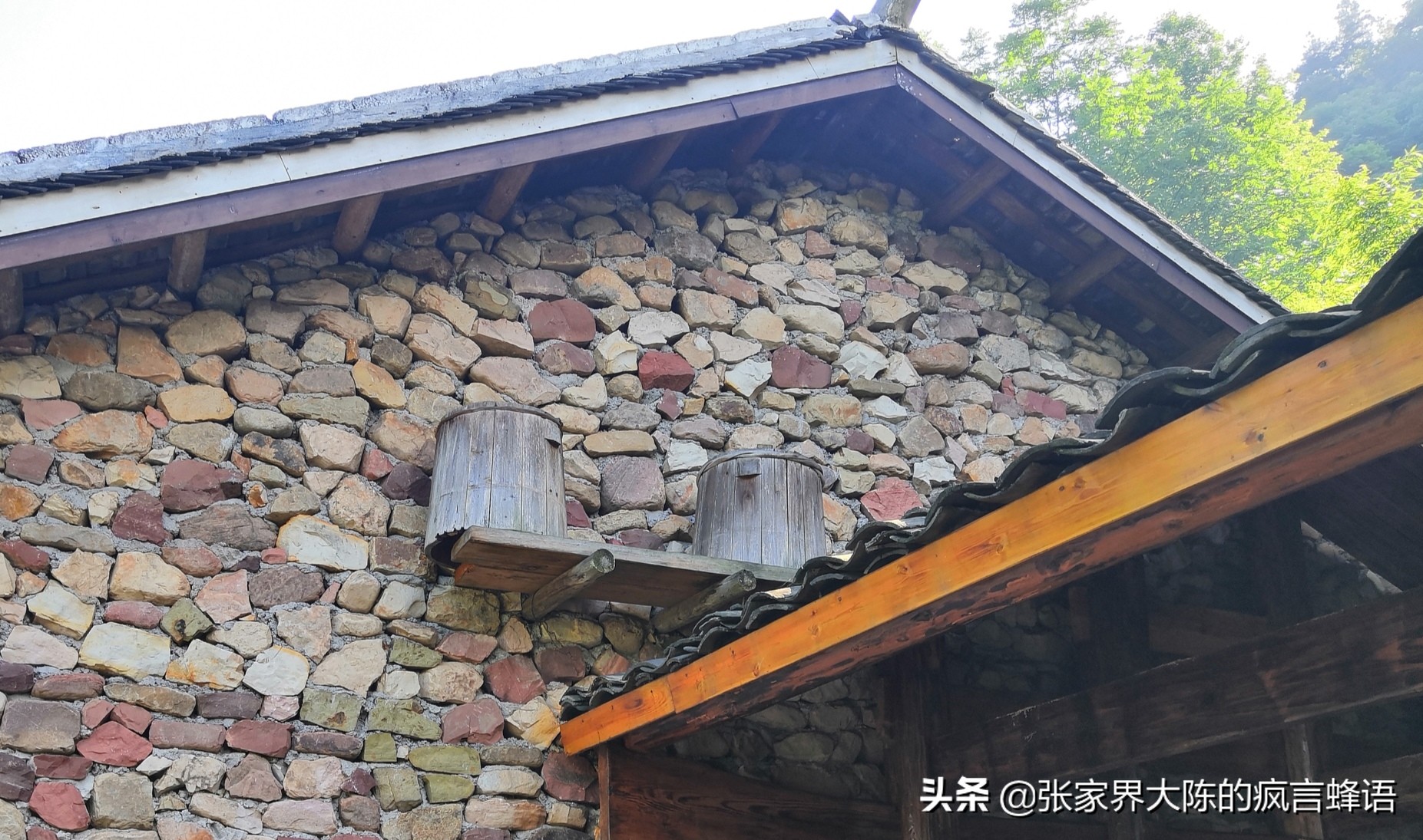 吃土蜂蜜鲜为人知的内幕值得一看,关于土蜂蜜你到底了解多少