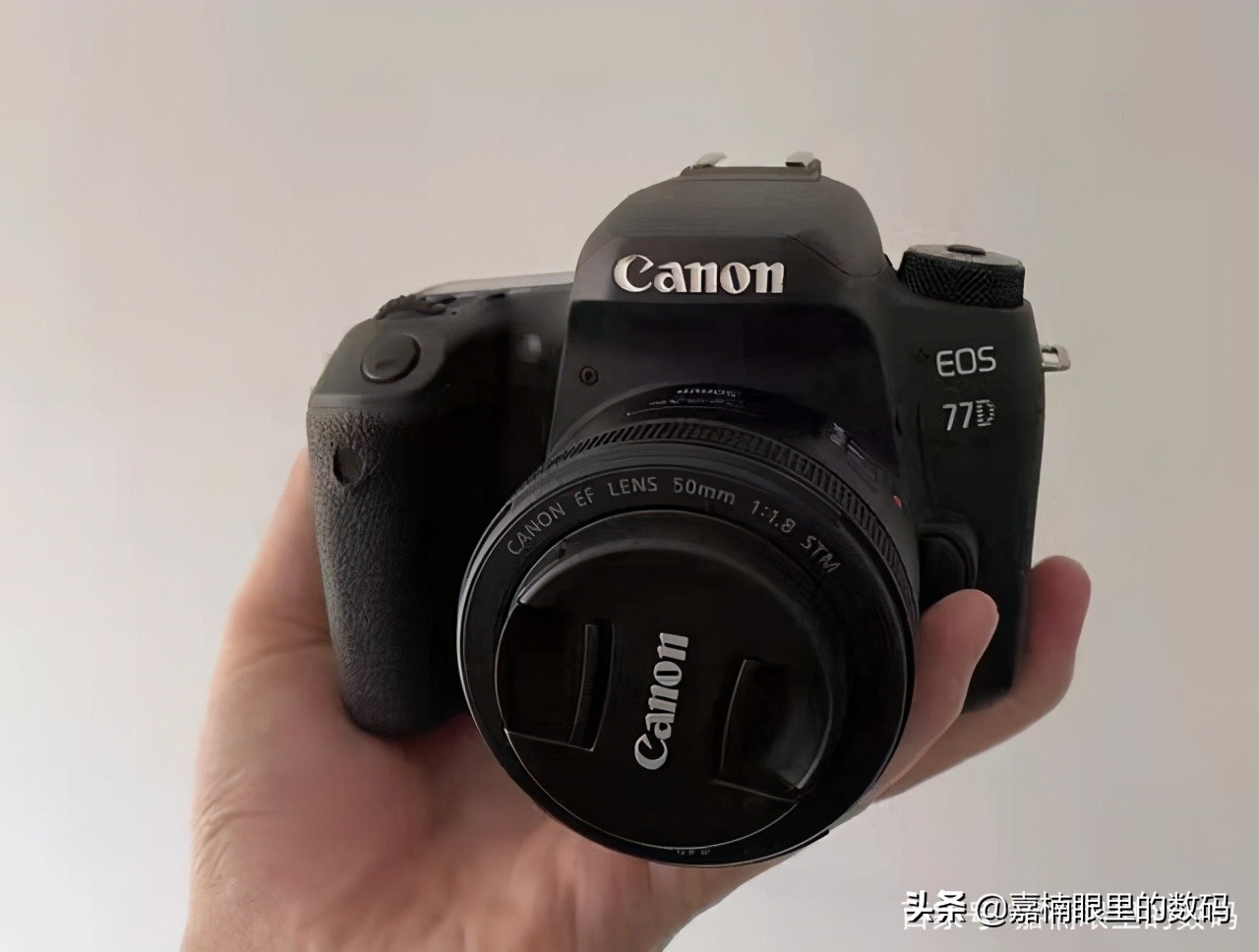 入门级选佳能哪一款相机最好,佳能新手入门哪款好看一点的相机