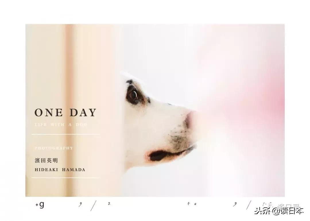 宾得pentax67,pentax人像胶片机