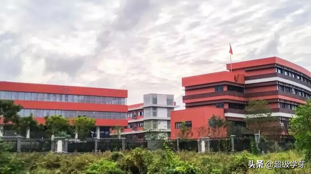 搞大事情！天府新区彻底向“四七九”说拜拜！成立三大教育集团