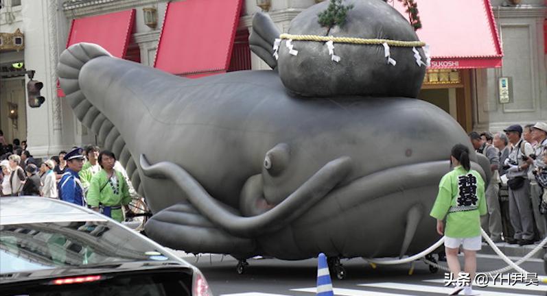 揭秘日本水怪之谜,传说中的日本水怪会是一种濒临灭绝的鱼吗?