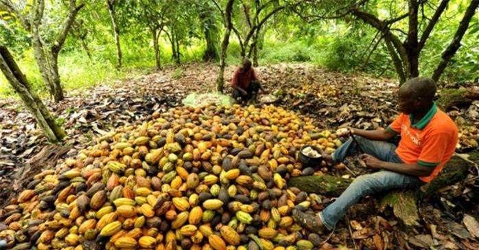 10个利润惊人行业,一个不起眼的行业利润80%