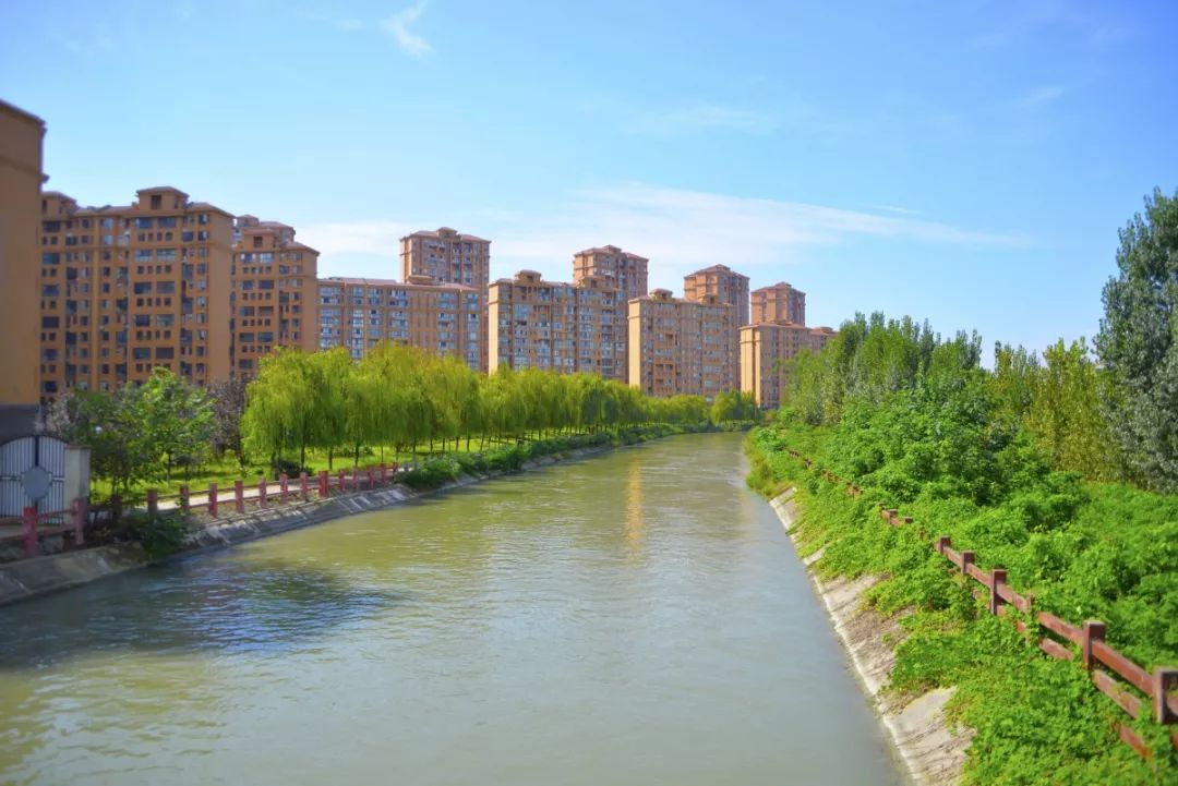 成华头条杉板桥,成华头条正能量