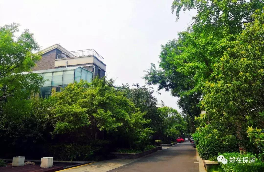 联盟新城一楼带院二手房,联盟新城一期别墅