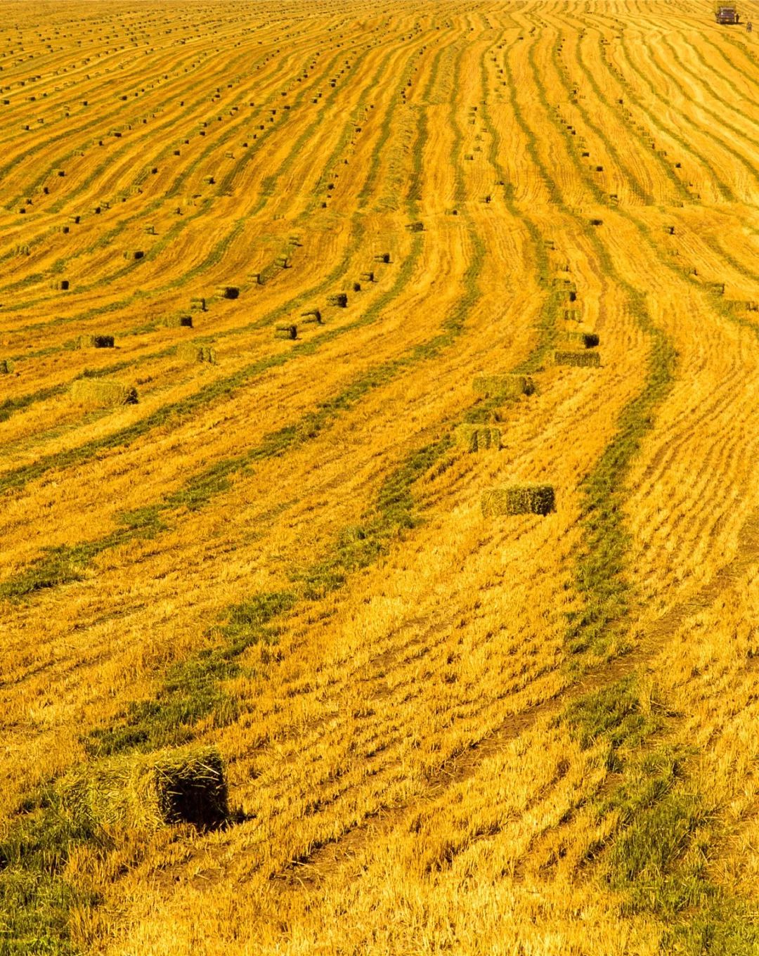甘肃张掖祁连山风光,甘肃张掖十大美景