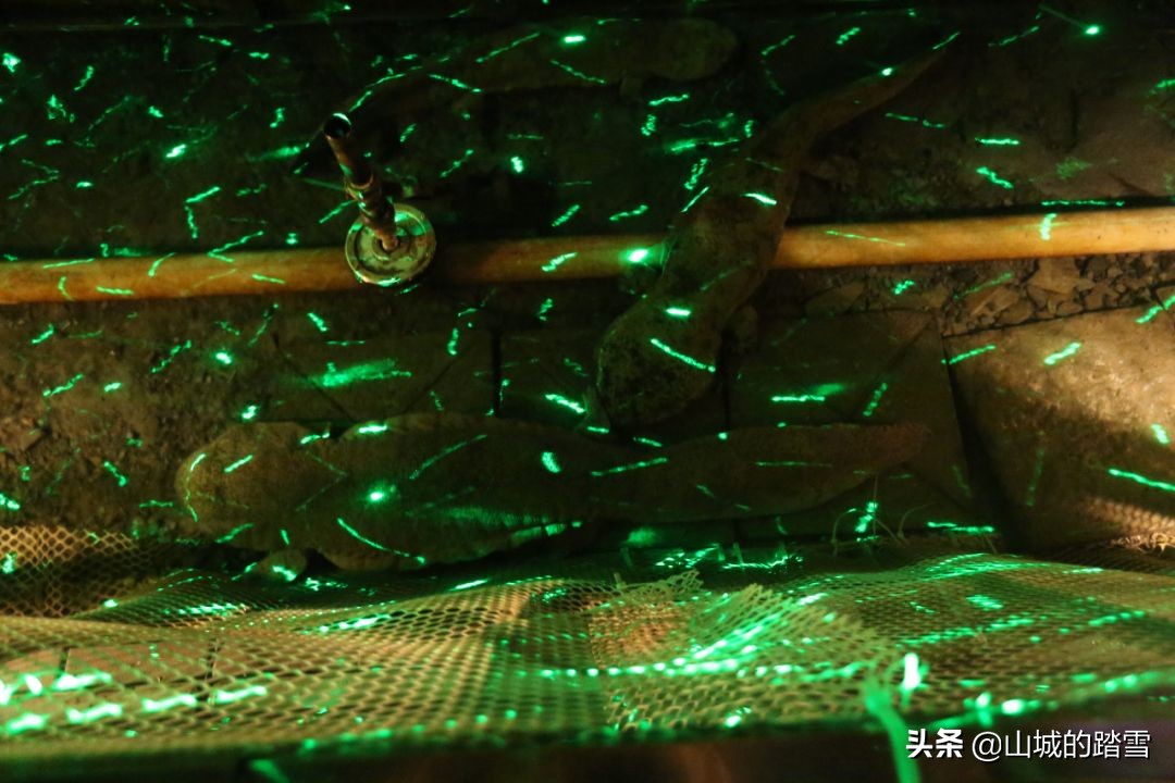 乐山嘉阳小火车值得去吗,嘉阳小火车与乐山大佛相隔多远