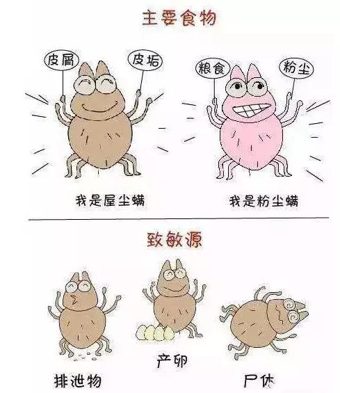 我们脸上有多少螨虫,我们脸上有虱子怎么办