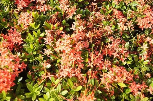 蓝色圣殿不可辜负的美景美食（三亚自由行攻略）