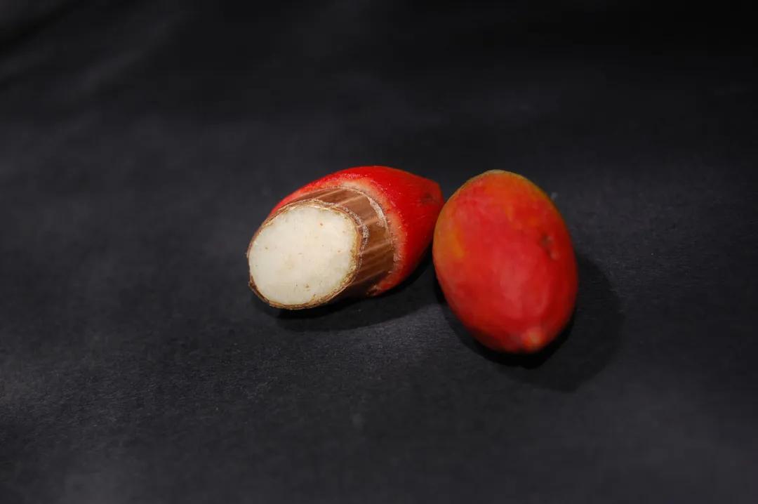 这种植物花不是花,果不是果,但还挺好吃