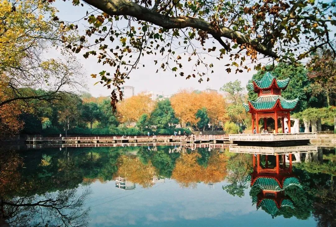 高考中南大学,高考结束来看看学生们的分数