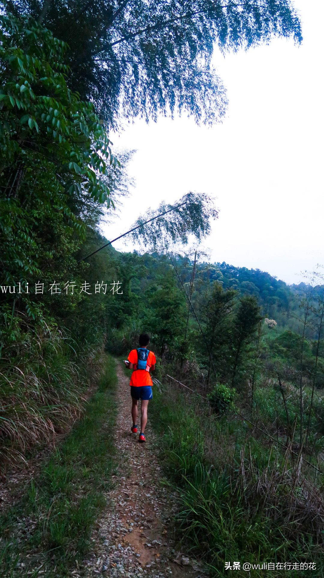 福州十八重溪徒步路线,福州森林公园登山徒步路线