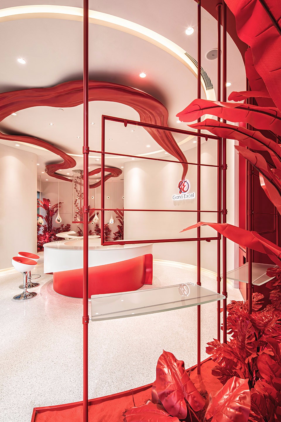 深圳雨林休闲食品,深圳灵芝养生馆