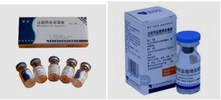 抗肿瘤药,直接影响DNA结构和功能的药物