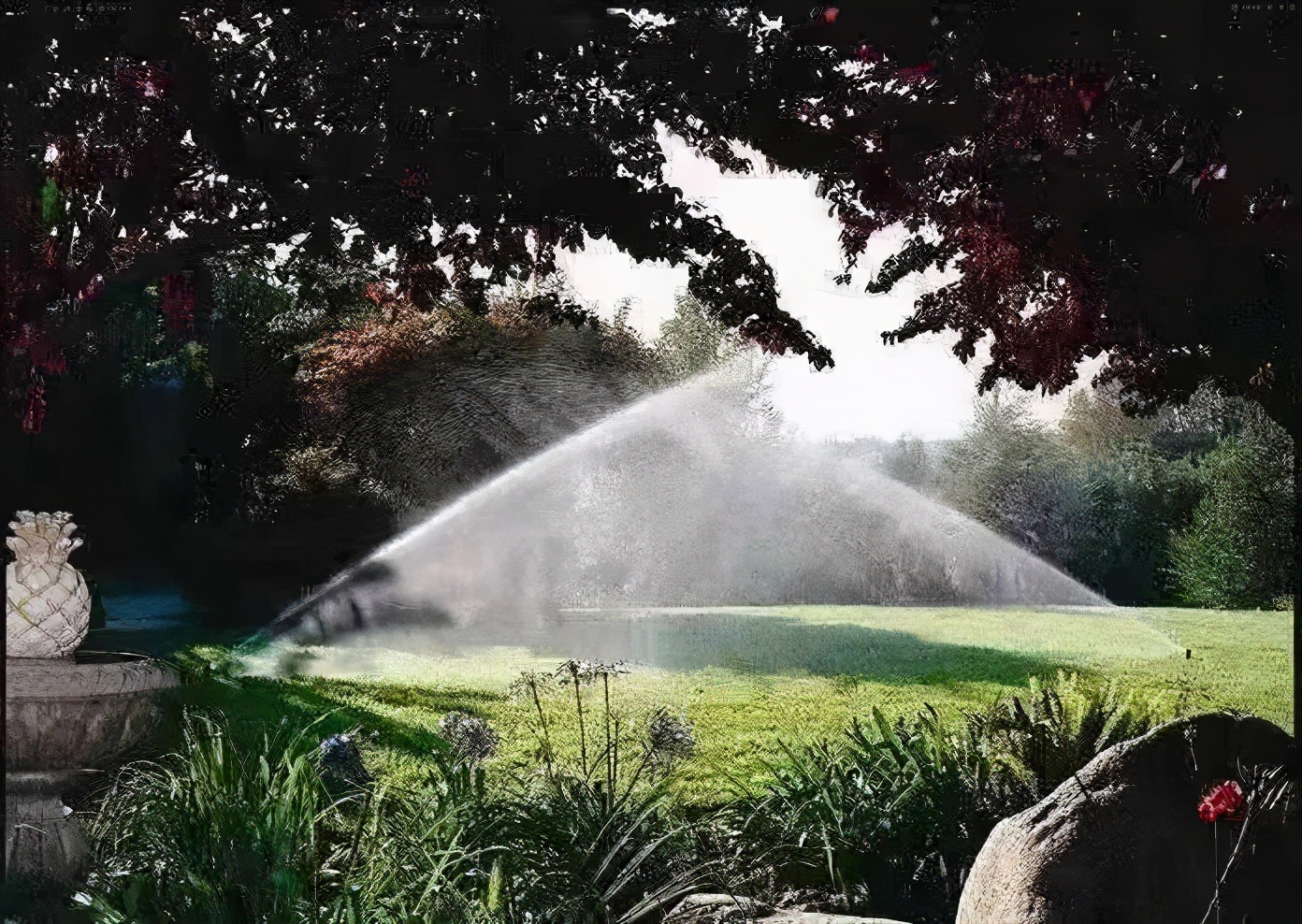 2021年，苑里的您最期待__？