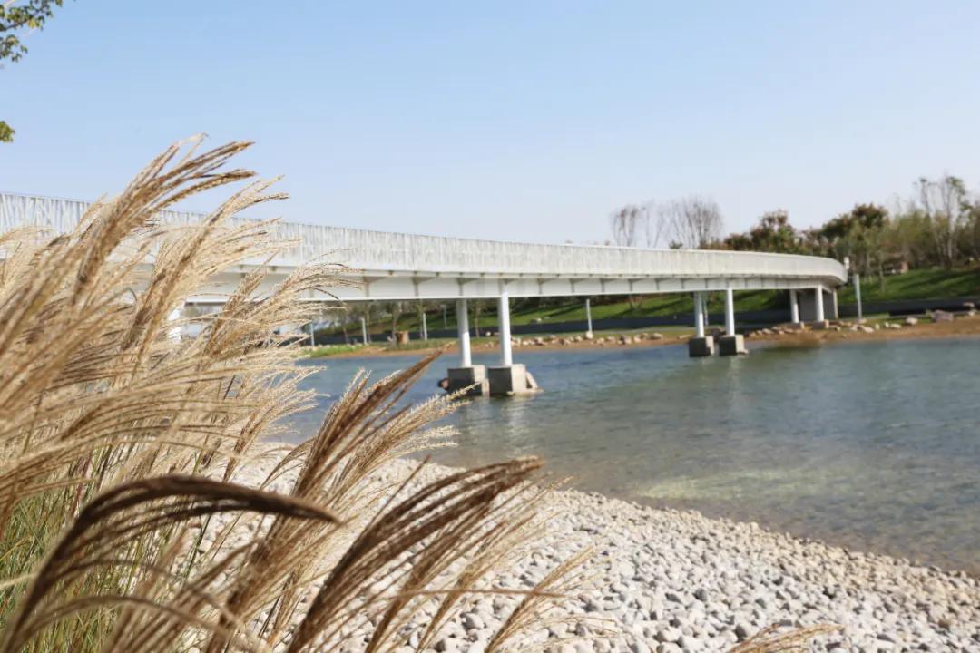 郑州航空港区CBD在什么位置,航空港区下半年新楼盘