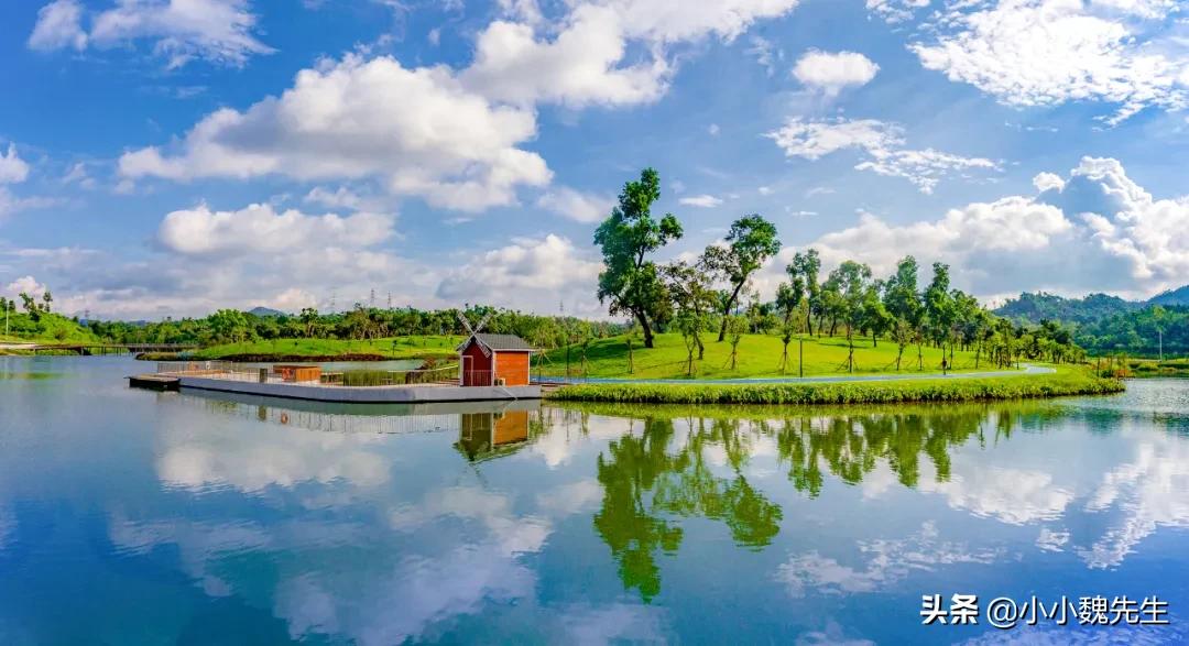 珠海能成为最宜居的城市,珠海各区宜居程度