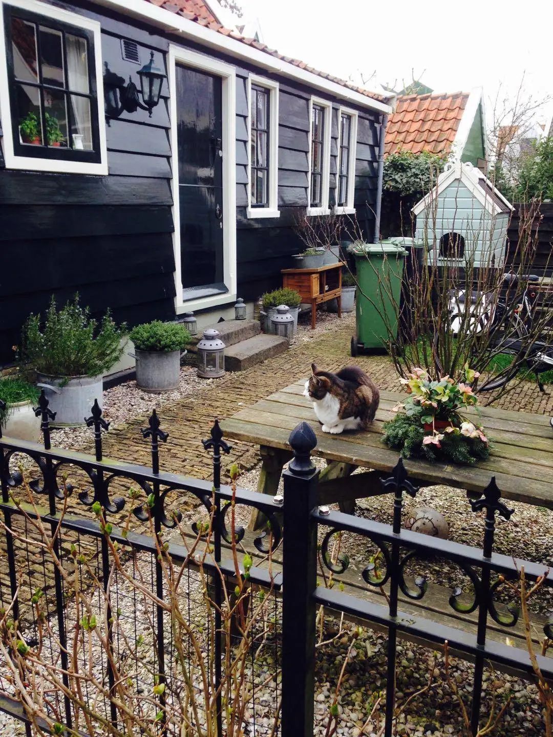 荷兰|当热爱与艺术交织,运河边的你被治愈了吗?