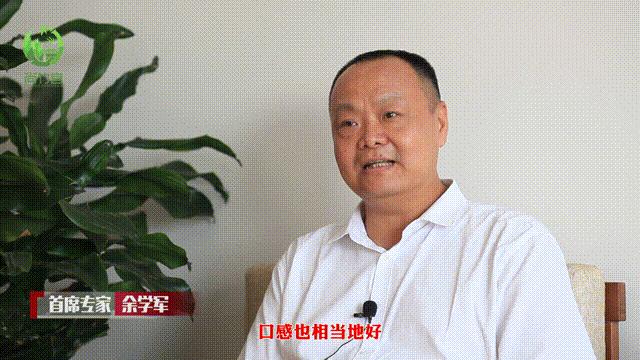 竹酒的口感,竹酒特点